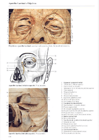 Atlas-Yokochi-6ta-1-8.pdf