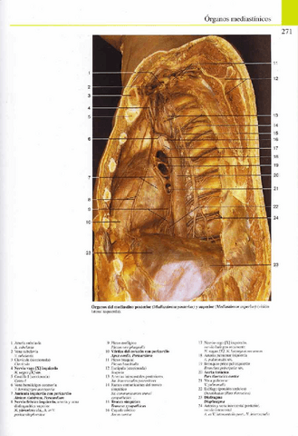 Atlas-Yokochi-6ta-1-15.pdf
