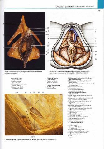 Atlas-Yokochi-6ta-1-19.pdf