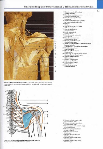 Atlas-Yokochi-6ta-1-20.pdf