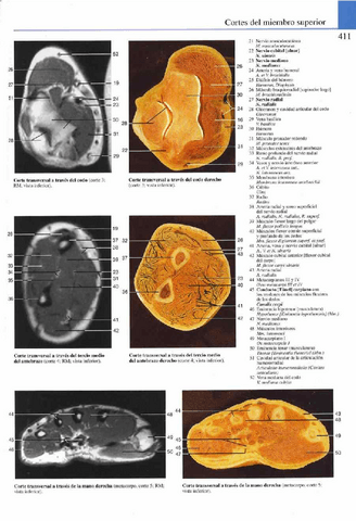 Atlas-Yokochi-6ta-1-22.pdf