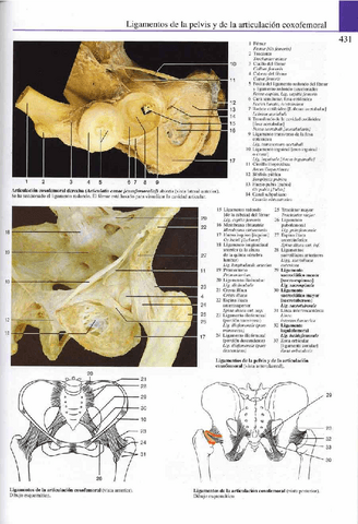 Atlas-Yokochi-6ta-1-23.pdf