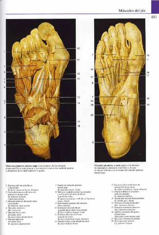 Atlas-Yokochi-6ta-1-24.pdf