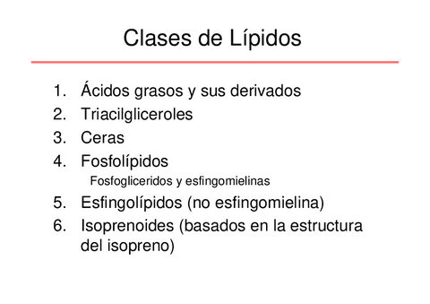 4-Lipidos.pdf