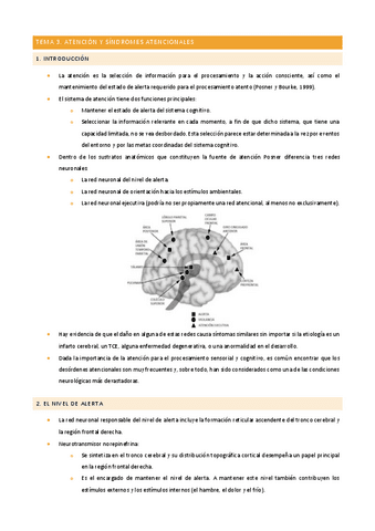 Tema-3-Carmen-Cuenca.pdf
