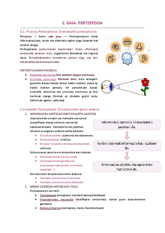 2.-GAIA-PERTZEPZIOA.pdf