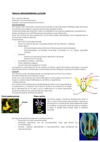 TEMA-9.pdf