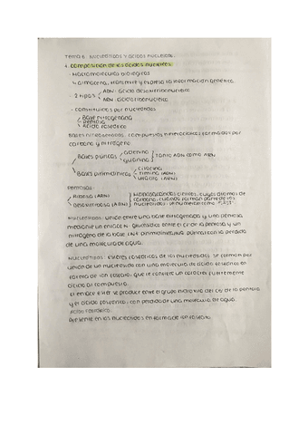 T5-nucleotidos-y-acidos-nucleicos.pdf