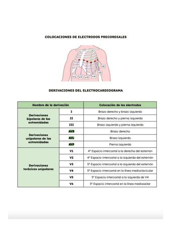 Electrocardiograma.pdf