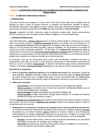 APUNTES-LA-PROTECCION-INTERNACIONAL-DE-LOS-DERECHOS-HUMANOS-DESDE-LA-PERSPECTIVA-DEL-TRABAJO-SOCIAL.pdf