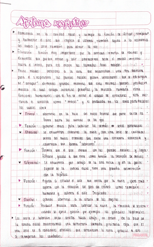 ANATOMIA-sistema-respiratorio.pdf