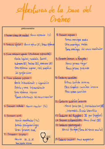 BASE-DEL-CRANEO-AGUJEROS.pdf