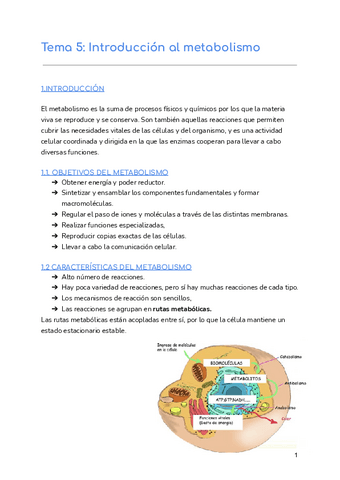 Tema-5-Introduccion-al-metabolismo.pdf