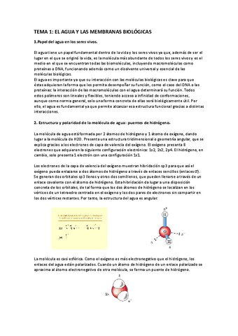 Apuntes-estructura-de-macromoleculas.pdf