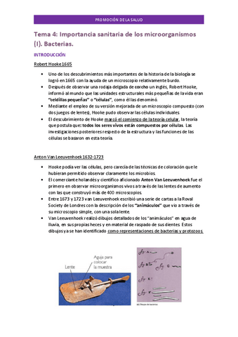 Tema-4-PROMOCION.pdf