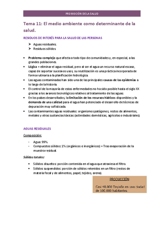 Tema-11-PROMOCION.pdf