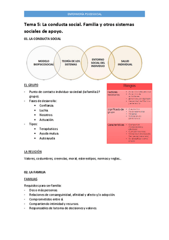Tema-5-psicosocial.pdf