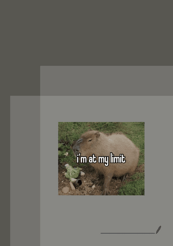 tema-8-aplicacions-de-derivades.pdf