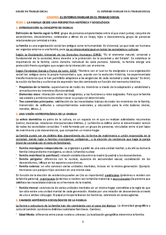 TEMARIO-COMPELTO-EL-ENTORNO-FAMILIAR-EN-EL-TRABAJO-SOCIAL.pdf