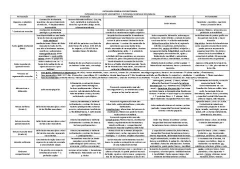 TABLA-MUSCULAR.pdf