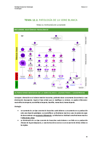 TEMA-12.2-PATOLOGIA.pdf