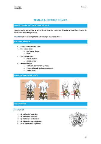 TEMA-2.2-CINESIOLOGIA.pdf