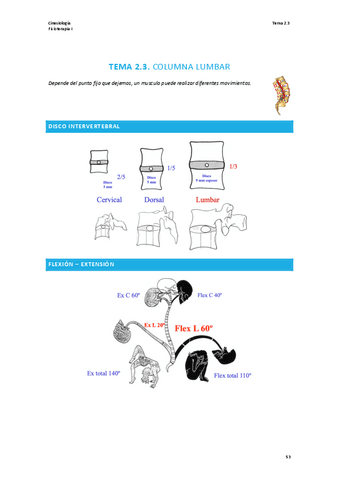 TEMA-2.3-CINESIOLOGIA.pdf