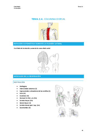 TEMA-2.4-CINESIOLOGIA.pdf