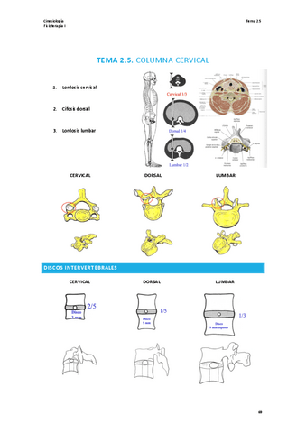 TEMA-2.5-CINESIOLOGIA.pdf