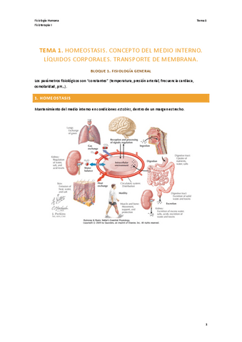 TEMA-1.-FISIOLOGIA.pdf