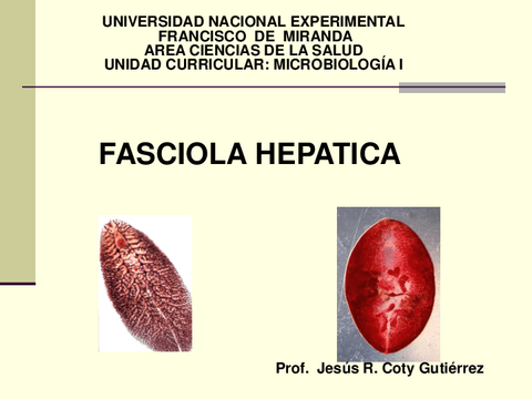 Fasciolasis.pdf