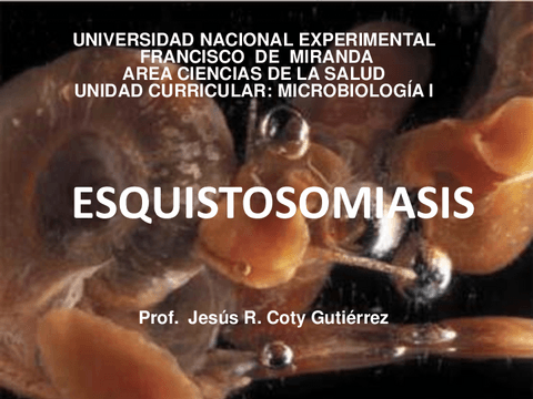 ESQUISTOSOMIASIS.pdf