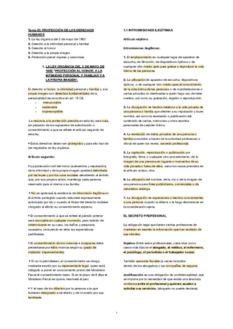 PROTECCION-DE-LOS-DERECHOS-HUMANOS.pdf