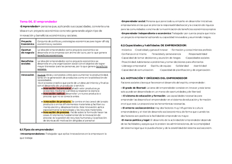 Org.Emp-Tema-06.pdf
