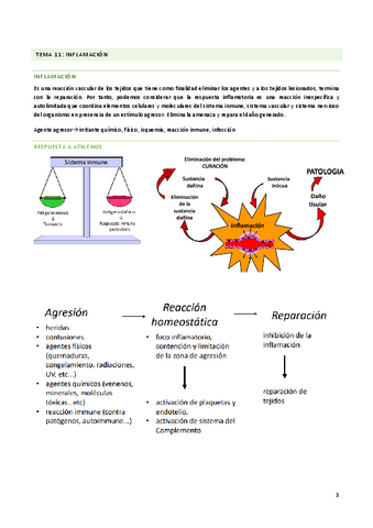 bloque-3-tema-1112-Y-13-inmuno.pdf