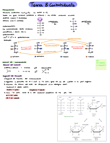 Tema-8apunts.pdf