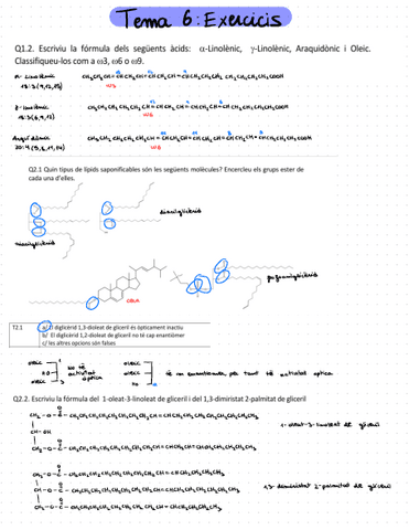 Tema-6exercicis.pdf