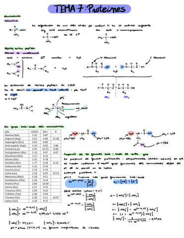 Tema-7apunts.pdf