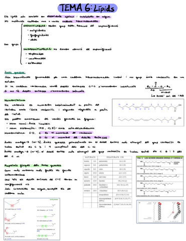 Tema-6apunts.pdf