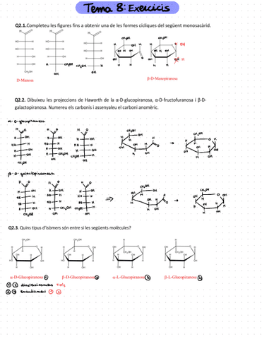 Tema-8exercicis.pdf
