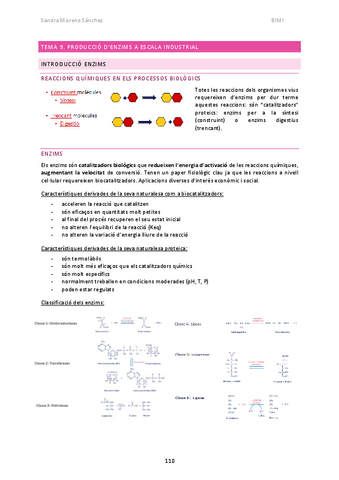 BIMI-T9.pdf