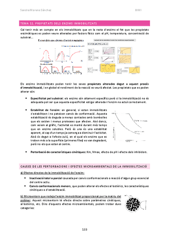 BIMI-T11.pdf