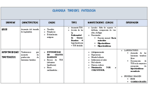 RESUMEN-T.33TIROIDES.pdf