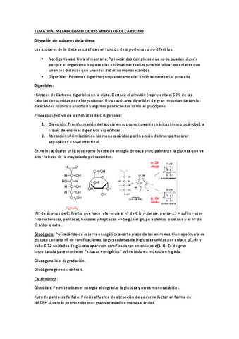 T10A.pdf