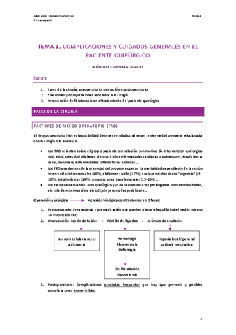 TEMA-1.-AMQ.pdf