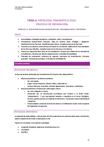 TEMA-6.-AMQ.pdf