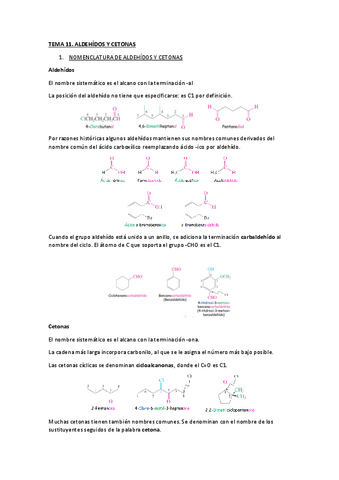 TEMA-11.pdf