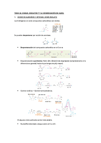 TEMA-12.pdf