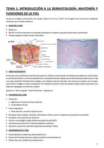 TEMA-1.-INTRODUCCION-A-LA-DERMATOLOGIA.-ANATOMIA-Y-FUNCIONES-DE-LA-PIEL.pdf