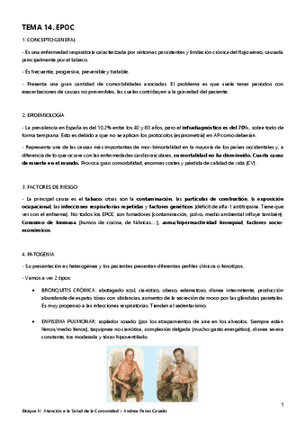 Tema-14.-EPOC.pdf